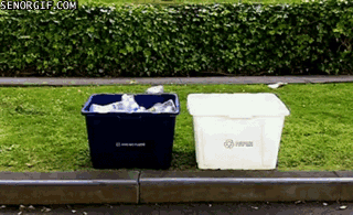 pug picking up trash, giphy