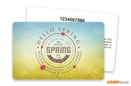 Hello Spring Gift Card with Numbering by CARDSource