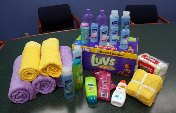 Lewis-House-donation
